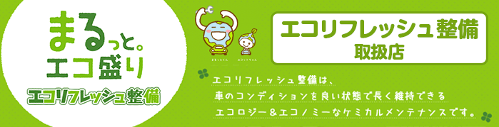 エコリフレッシュ整備